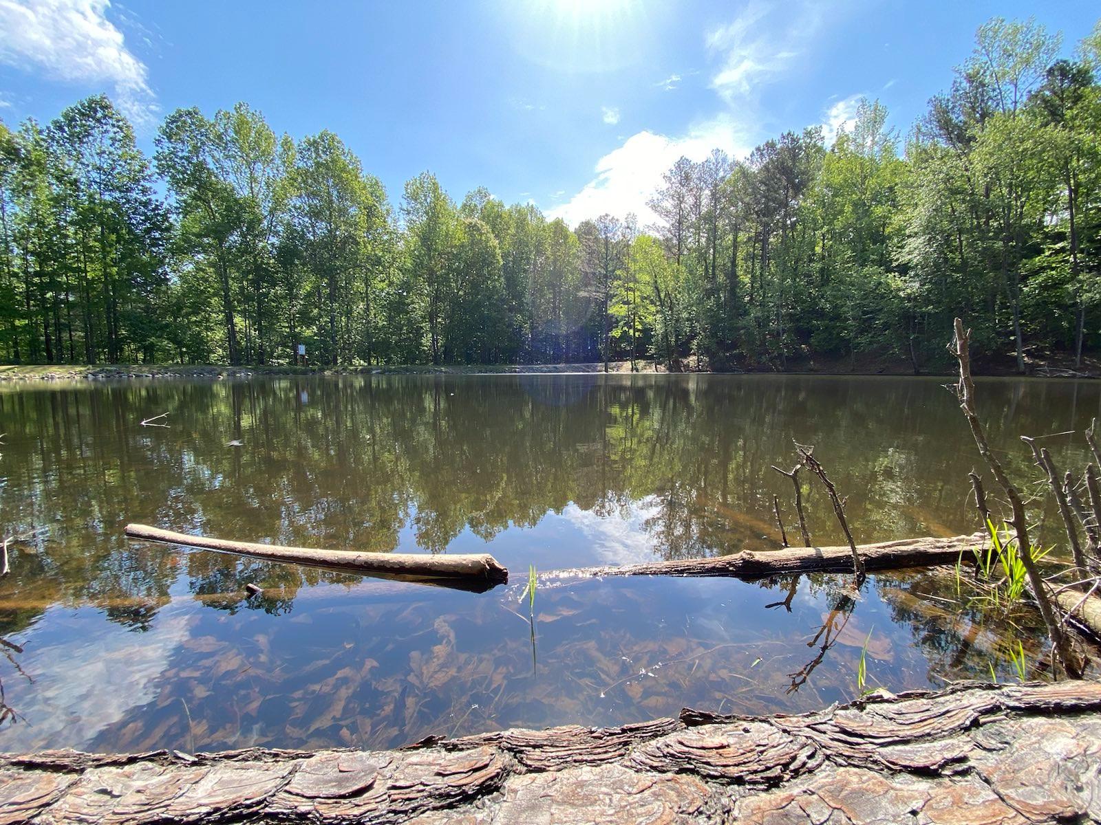 the lagoon at Cherokee Bluffs