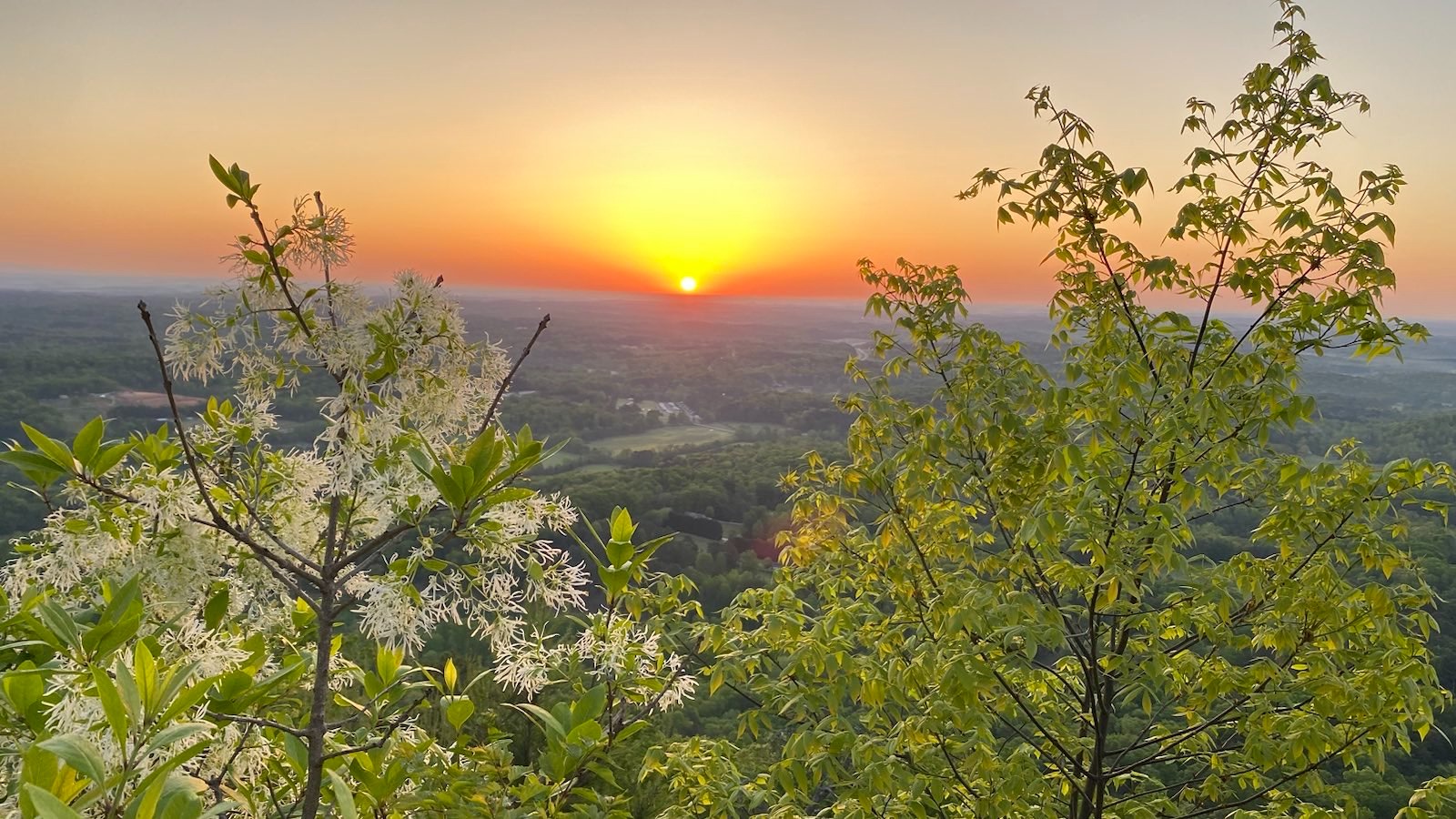 Sunrise from the Currahee Mountain summit.