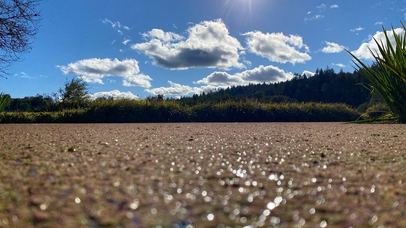 partly cloudy skies over a pond