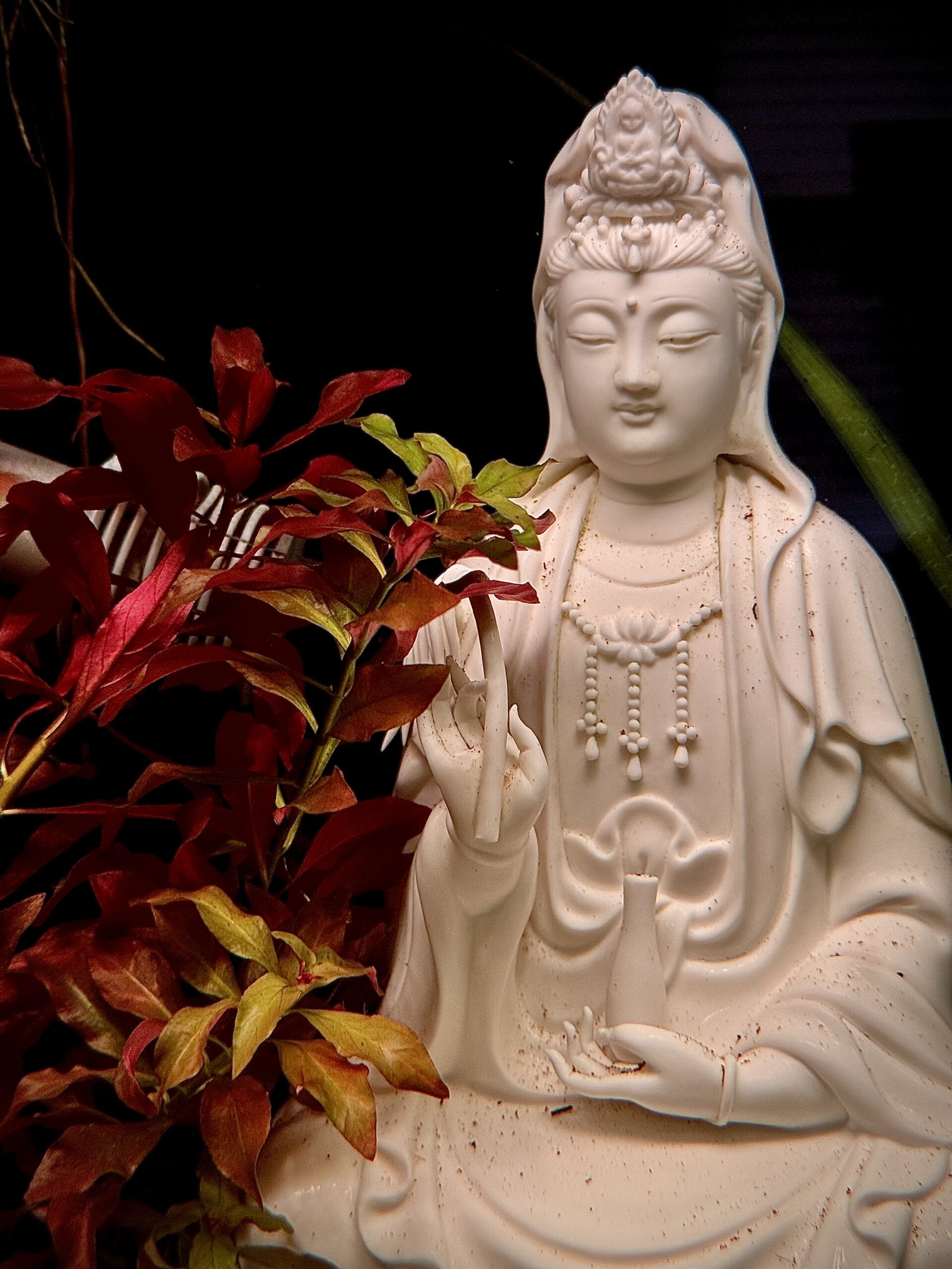 Guanyin statue in an aquarium with red plants growing beside it.