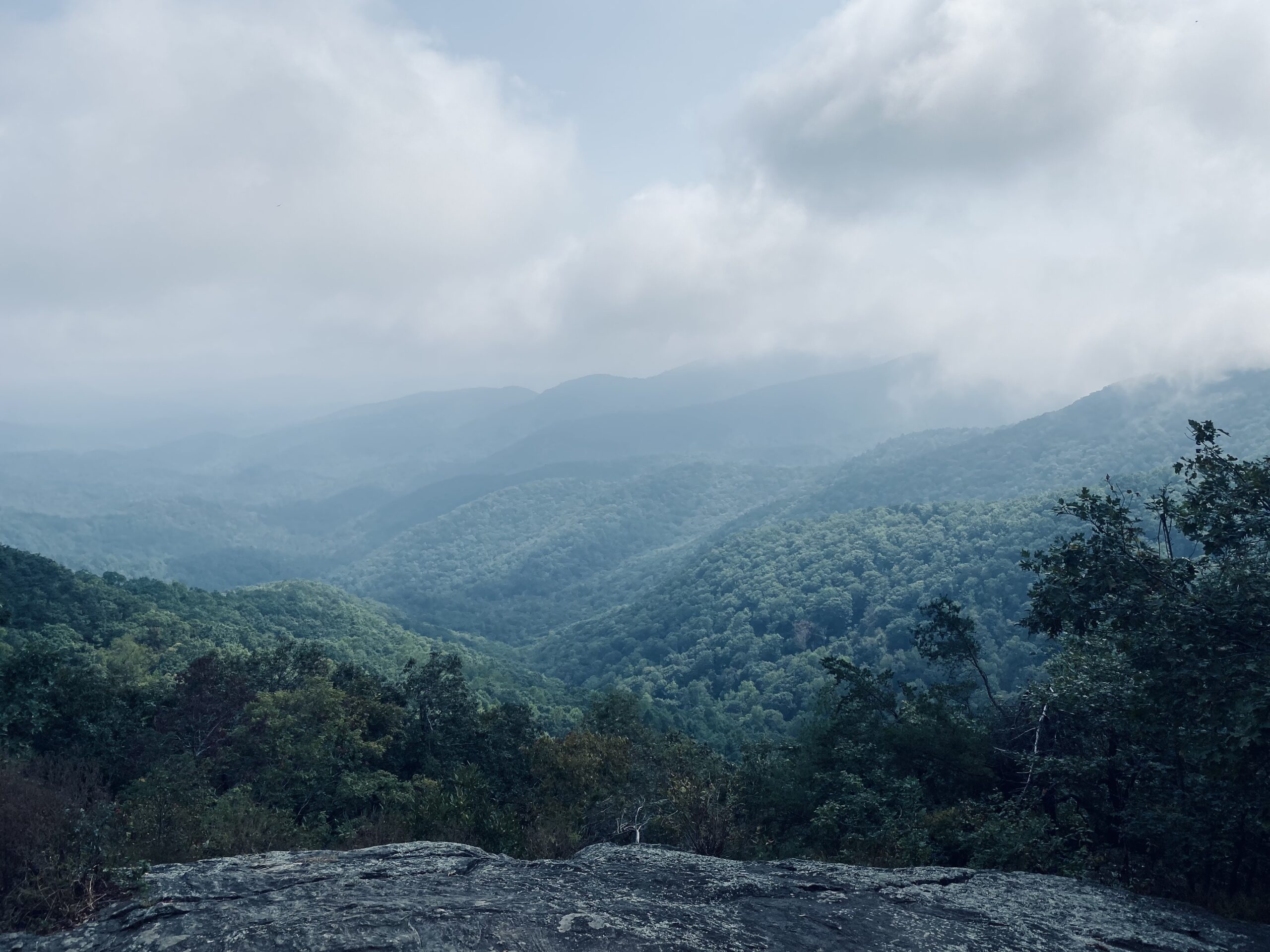 foggy view of a valley as seen from Preachers Rock